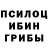 Галлюциногенные грибы Magic Shrooms Konstantin Li