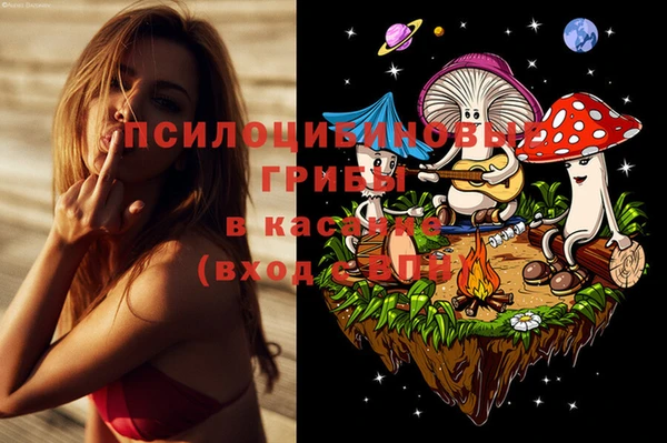 МДПВ Наволоки