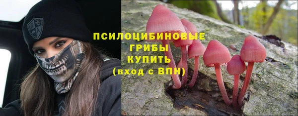 гидра Навашино