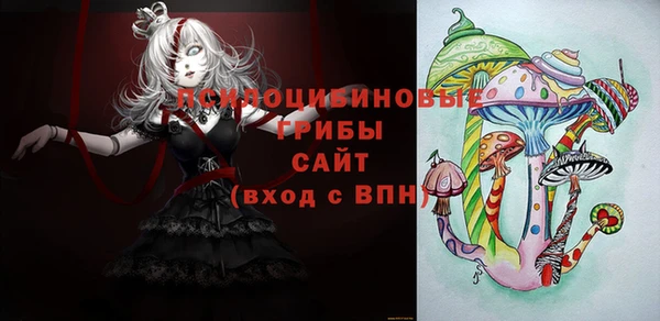spice Надым